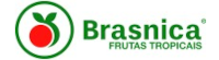 brasnica